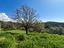 Immagine 12