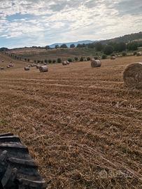 Rotoli Fieno d'avena ed erba medica