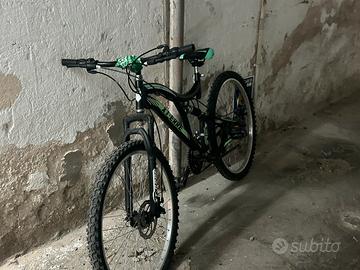Bicicletta normale
