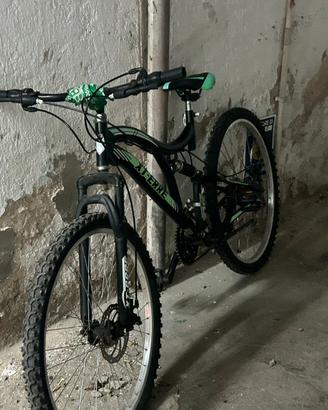 Bicicletta normale