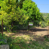 Vendesi terreno agricolo Elini 3.000 Mq