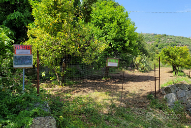 Vendesi terreno agricolo Elini 3.000 Mq