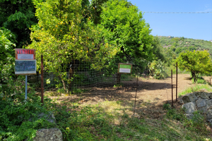 Vendesi terreno agricolo Elini 3.000 Mq