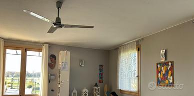 Ventilatore a soffitto