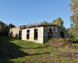 Terreno Agricolo Olbia [Cod. rif 3196739VCG]