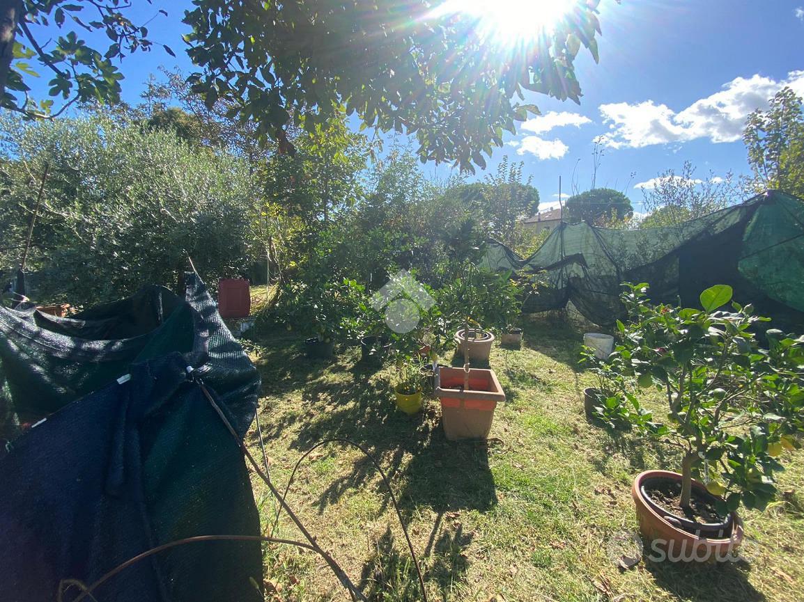 TER. AGRICOLO A SAVIGNANO SUL RUBICONE - Altro