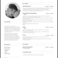 Addetto all'accoglienza, ferroviario,disegnatore