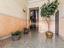 Immagine 28