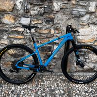 Santa Cruz Highball Carbon C (tg L)