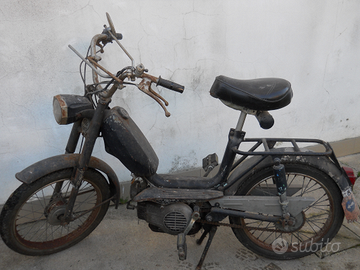 Ciclomore Cariani GINK