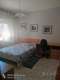 Stanze per studentesse