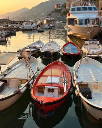 Gozzo Ligure Primula Mare 4,90m Rosso