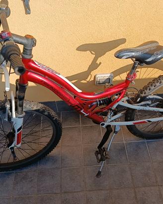 Bici bambino 24"