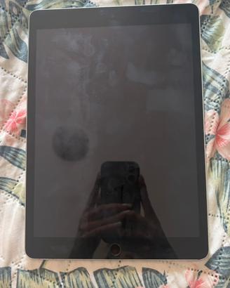 iPad  iPad 10.2" (2021) 9 generazione 64 gb