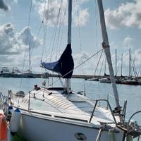 Brezza 22