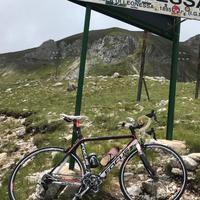 Bici da corsa Focus