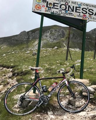 Bici da corsa Focus