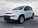 fiat-panda-1-0-70cv-hybrid