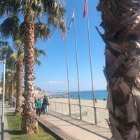 Varazze centralissimo.6 Posti.Libero Aprile/Maggio