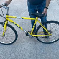 Bicicletta