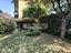 Immagine 7