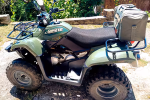 Quad atv