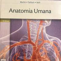 Anatomia umana