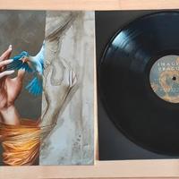 Reflections - Imagine Dragons Vinile