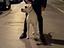 Immagine 4