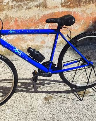 Montain bike