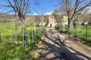 Rustico/Casale/Corte Pratella