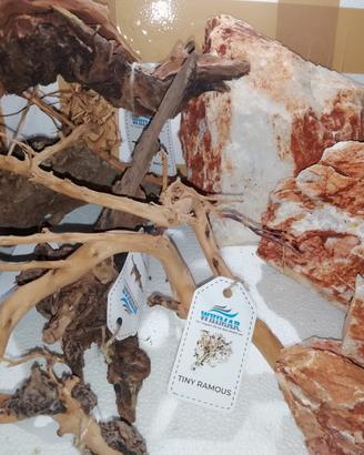 Arredi per Acquario , radici e pietre Nuovi
