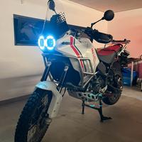 Moto Ducati Desert X