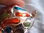 Immagine 4