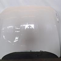 COFANO ANTERIORE BMW Serie 1 F20 41007290942 B37D1