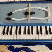 Melodica o diamonica con custodia.