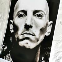 Maynard James Keenan 27x40cm stampa disegno