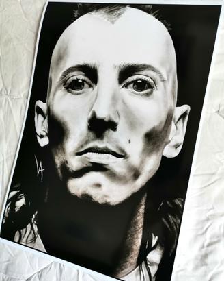 Maynard James Keenan 27x40cm stampa disegno