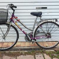 Bicicletta Marca Moser