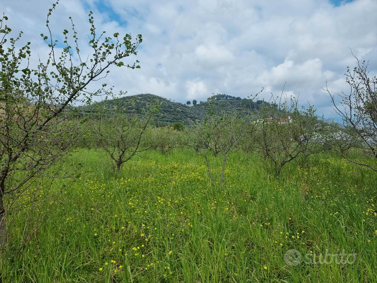 Terreno agricolo con capannone - Vista 3