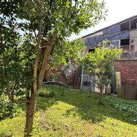 TER. AGRICOLO A TORINO