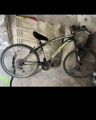 bicicletta