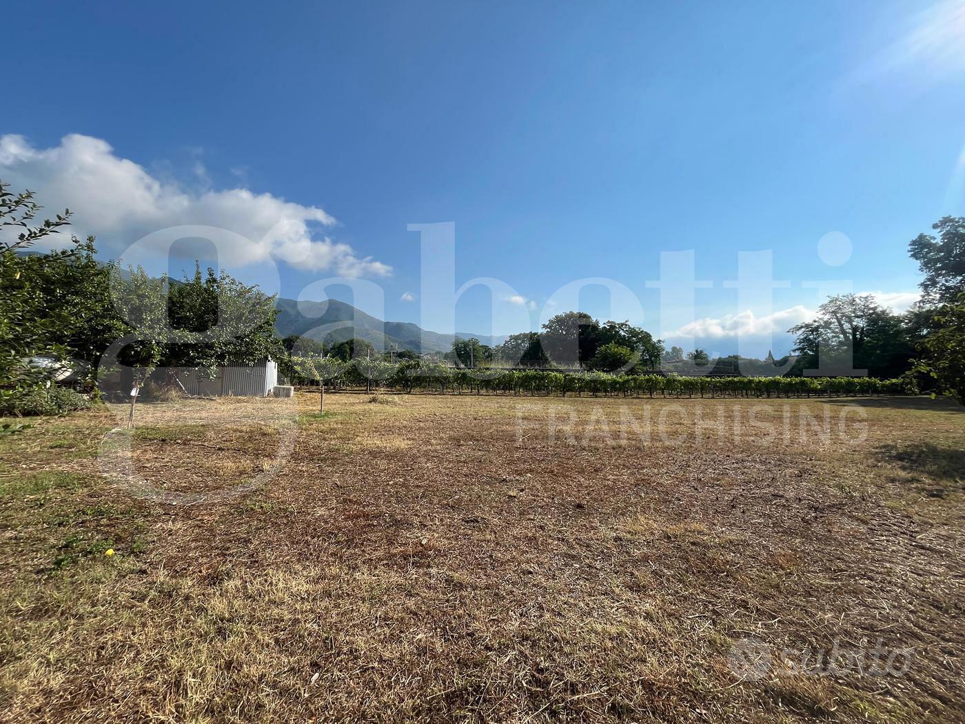Terreno Agricolo Alife [Cod. rif 3325629VCG] - Vista 5