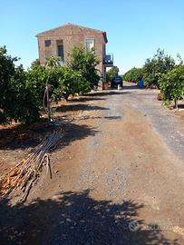 Splendido Agrumeto in produzione