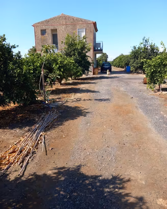 Splendido Agrumeto in produzione