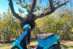 Honda dio sp