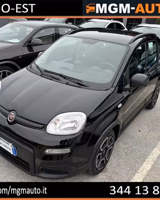 Fiat Panda 1.2 EasyPower City Life GPL casa madre