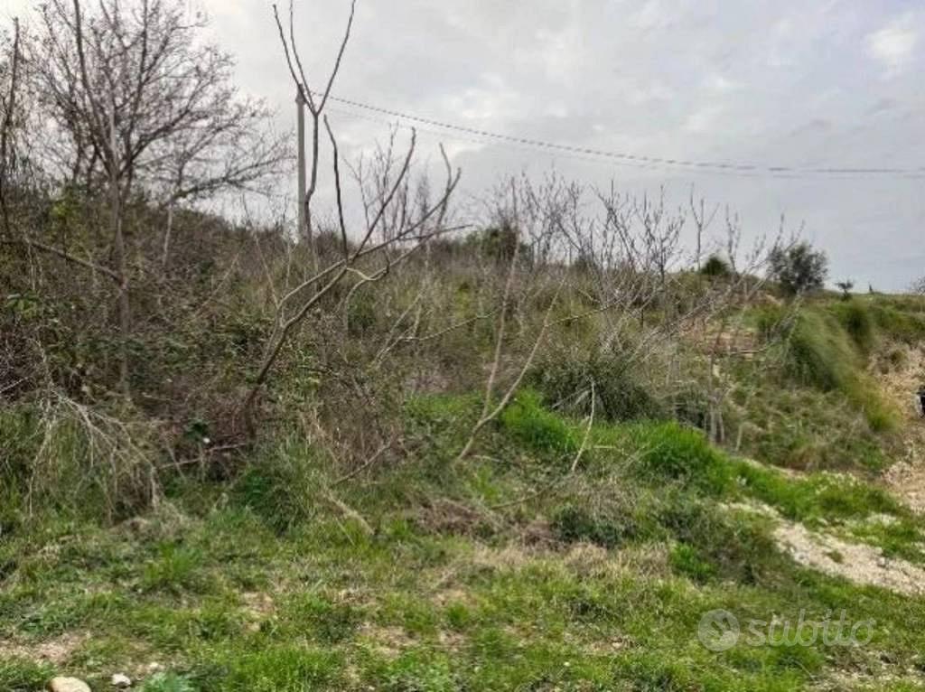 Immobile in asta di 1265 m² a Ripatransone - Vista 4