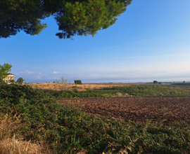 Terreni seminativi irrigui