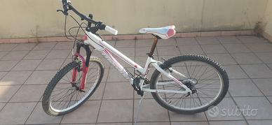 bicicletta Torpado raggio 26